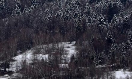 Nećete vjerovati: U Sloveniji je pao snijeg, objavili su i fotografiju