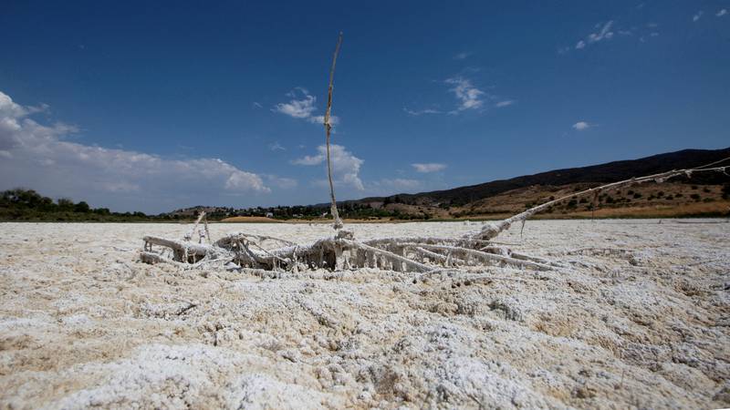 Toplinski udar diljem SAD-a, temperature idu i preko 45°C: ‘Kaktusi su nam se počeli sušiti’