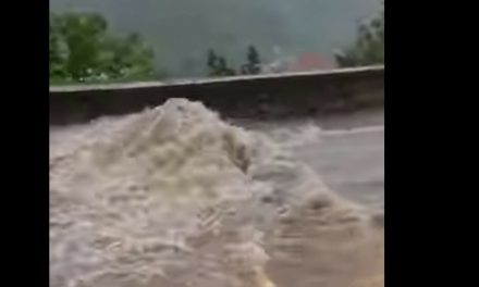 Nevrijeme na širem riječkom području rušilo stabla, munja zapalila krov