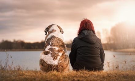 Tražila je slobodan dan na poslu zbog uginulog psa: Reakcija poslodavca ju je šokirala, a onda mu je ‘zapaprila’