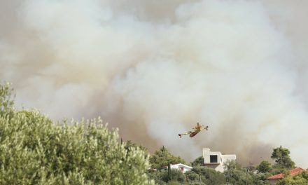 Ostaje iza rešetaka: Radniku osumnjičenom za izazivanje velikog požara na Čiovu određen istražni zatvor