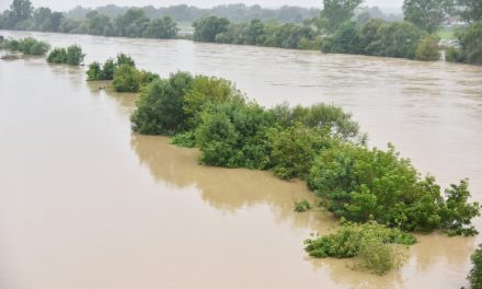 (VIDEO/FOTO) Direktor Hrvatskih voda otkrio koliko nasip u Zagrebu može izdržati