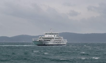 Pacijent pobjegao sa Psihijatrije na Ugljanu. Skakao gol po trajektu pa skočio u more