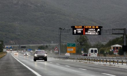 Vozači oprez: Na autocesti uočen pas, vozi se uz ograničenje brzine