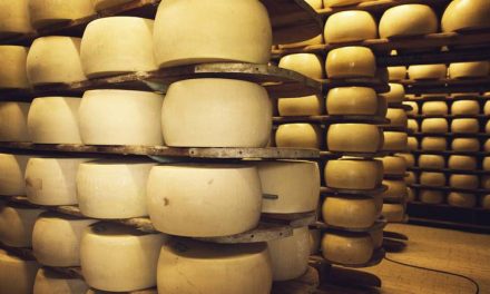 Proizvođača Grana Padano sira u Italiji ubio -godišnjaka