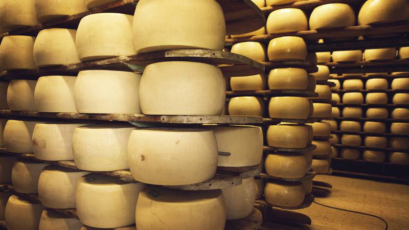 Proizvođača Grana Padano sira u Italiji ubio -godišnjaka