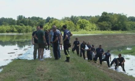 Drava u Osijeku rekordno visoka i noćas se neće spavati: ”Sad što nam Bog da dalje”