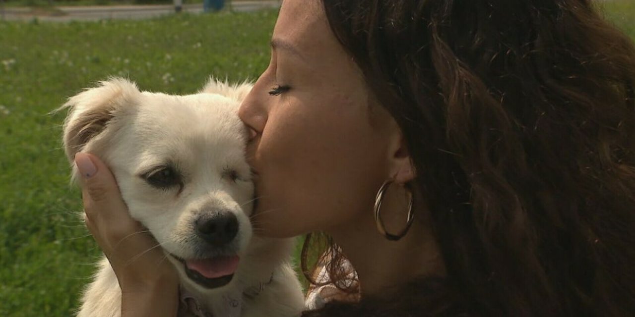 Životinjama bez doma može se pomoći! “Ljudi nažalost još uvijek nisu svjesni da moraju sterilizirati svoje ljubimce”