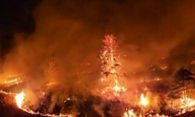 VIDEO Zbog požara u Kanadi se spremaju nove evakuacije, zatvorena glavna arterija