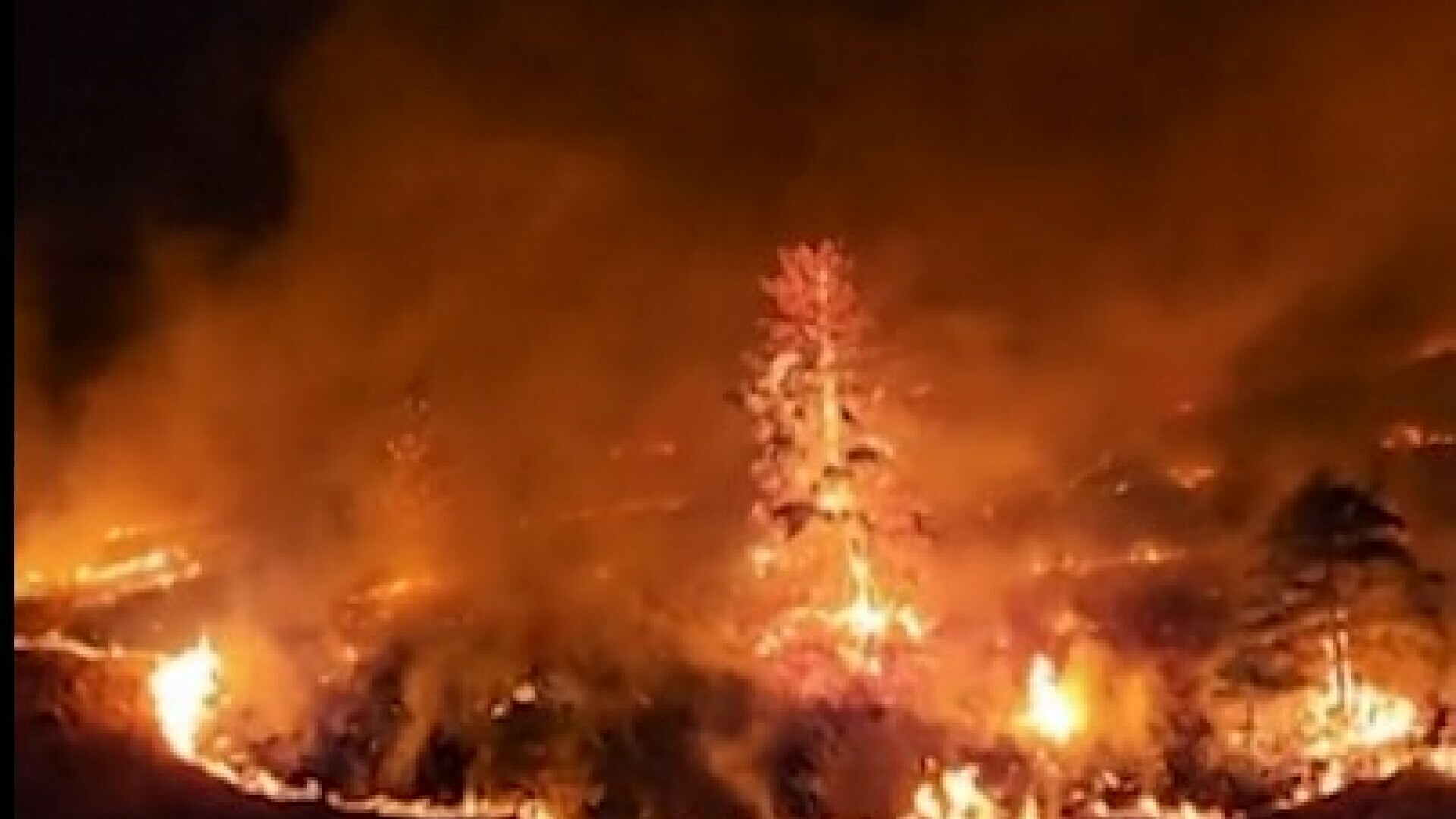 VIDEO Zbog požara u Kanadi se spremaju nove evakuacije, zatvorena glavna arterija