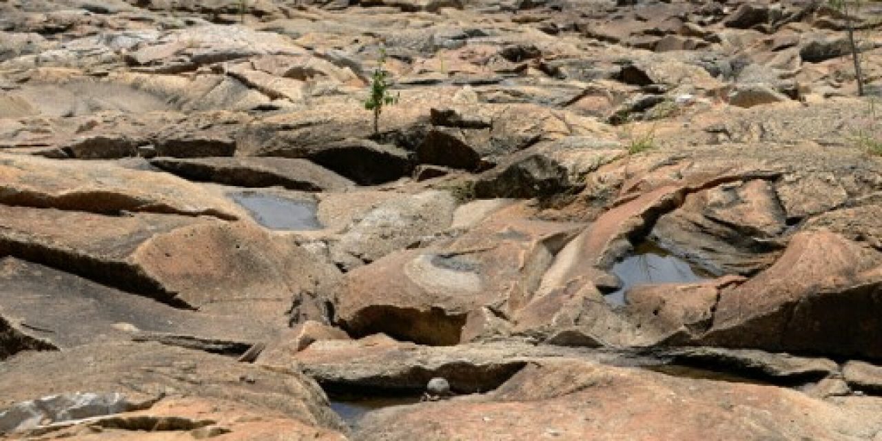 Alarmantno upozorenje! Dolazi El Nino i bit će loše: Cijene hrane mogle bi još rasti