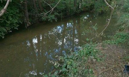 Nastavlja se potraga za vozačem koji je sletio autom u rijeku kod Požege: “Odjednom je naišao i samo udario u mene, ja sam završio u jarku”