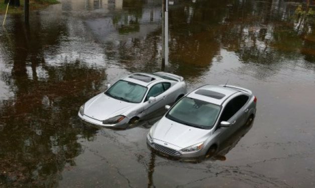 VIDEO Razorni uragan stvorio kaos na Floridi: “Naručeno je mnogo vreća za mrtve. Očekuju žrtve, ne želim biti jedna od njih”