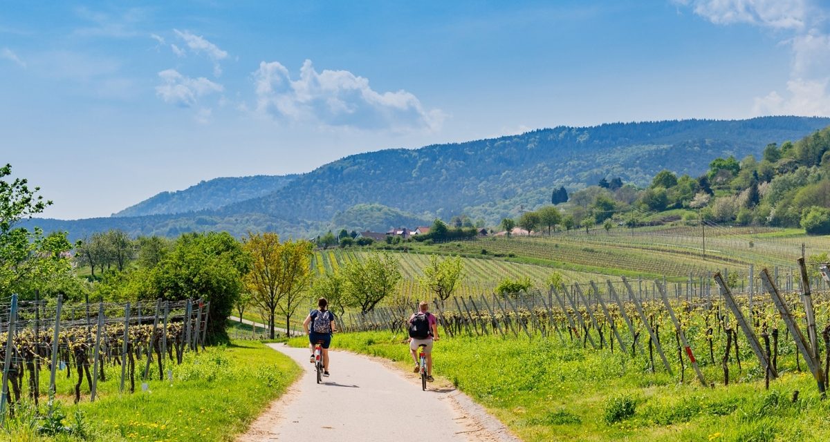 Turistički djelatnici složni: 86% smatra da su za jačanje hrvatskog turizma ključni prihod po gostu i razvoj kontinentalnog turizma