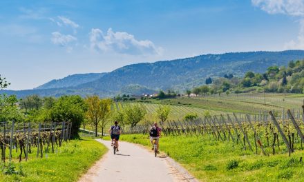 Turistički djelatnici složni: 86% smatra da su za jačanje hrvatskog turizma ključni prihod po gostu i razvoj kontinentalnog turizma