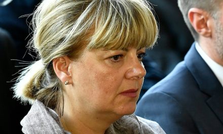 Mirjana Hrga objasnila Hrvatima: ‘Kako zaustaviti siledžije koji kupuju Bogom dane parcele’