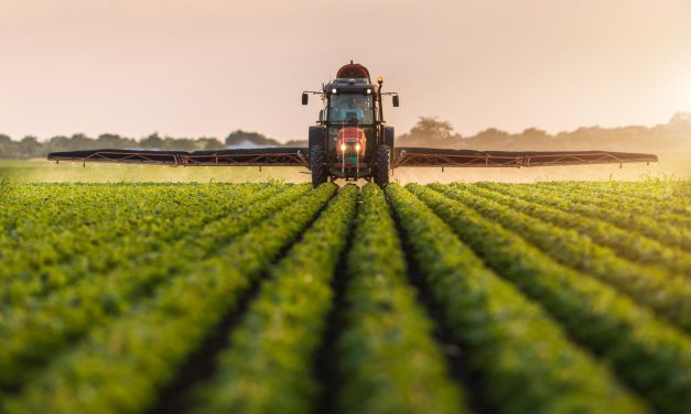 Vrijednost poljoprivredne proizvodnje u 2022. porasla 18,2 posto