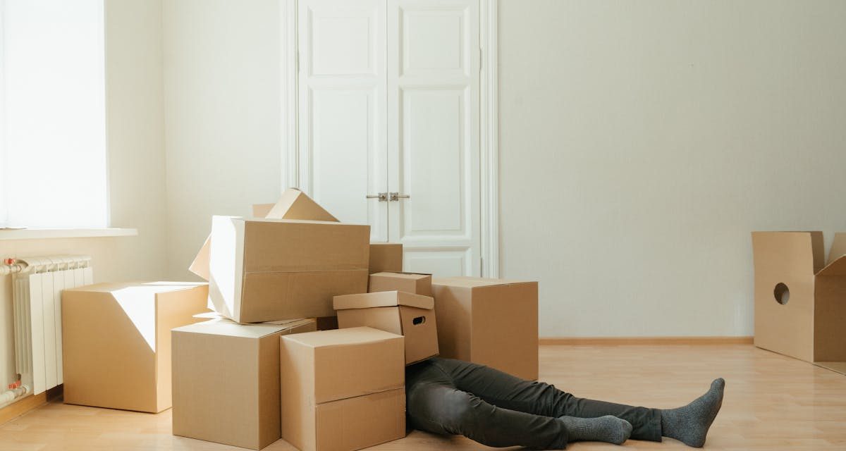 Selidba kao logistički izazov modernog života