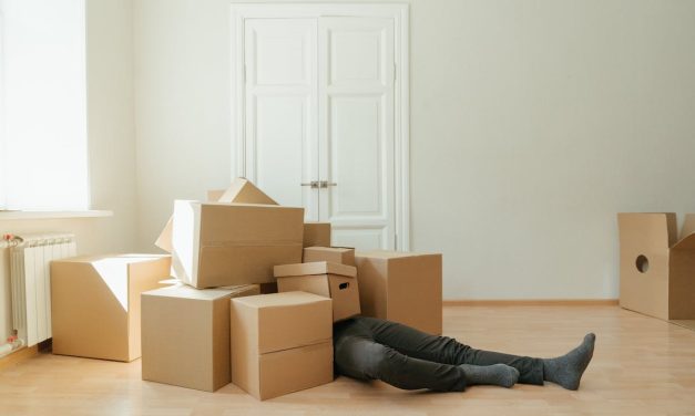 Selidba kao logistički izazov modernog života