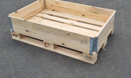 Domaća proizvodnja drvene ambalaže ima sve važniju ulogu – Fagus palete i okviri za palete za moderne tvrtke